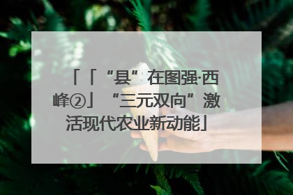 「“县”在图强·西峰②」“三元双向”激活现代农业新动能