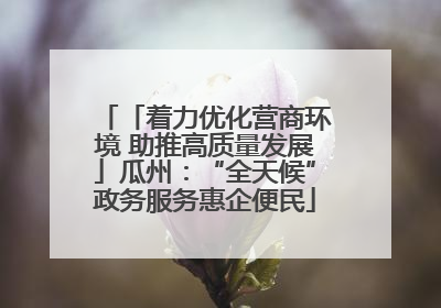 「着力优化营商环境 助推高质量发展」瓜州：“全天候”政务服务惠企便民