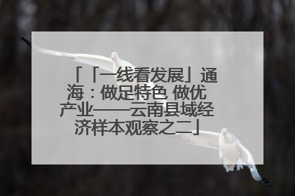 「一线看发展」通海：做足特色 做优产业——云南县域经济样本观察之二