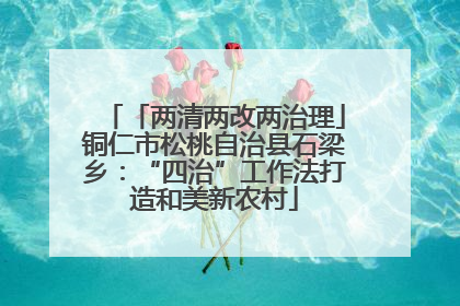 「两清两改两治理」铜仁市松桃自治县石梁乡：“四治”工作法打造和美新农村