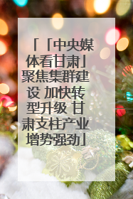 「中央媒体看甘肃」聚焦集群建设 加快转型升级 甘肃支柱产业增势强劲