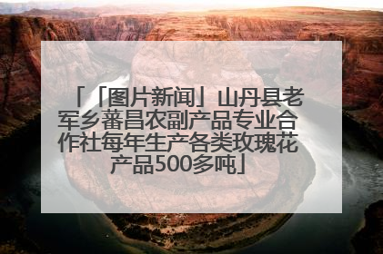 「图片新闻」山丹县老军乡蕃昌农副产品专业合作社每年生产各类玫瑰花产品500多吨