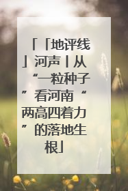 「地评线」河声丨从“一粒种子”看河南“两高四着力”的落地生根
