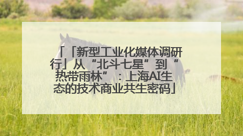 「新型工业化媒体调研行」从“北斗七星”到“热带雨林”：上海AI生态的技术商业共生密码
