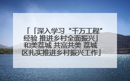 「深入学习“千万工程”经验 推进乡村全面振兴」和美荔城 共富共美 荔城区扎实推进乡村振兴工作