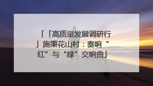 「高质量发展调研行」施秉花山村：奏响“红”与“绿”交响曲