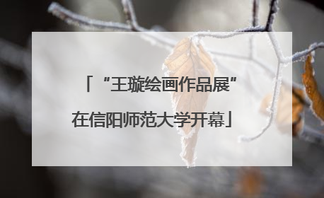 “王璇绘画作品展”在信阳师范大学开幕