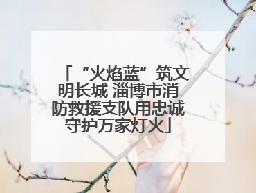 “火焰蓝”筑文明长城 淄博市消防救援支队用忠诚守护万家灯火