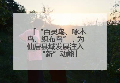 “百灵鸟、啄木鸟、织布鸟”，为仙居县域发展注入“新”动能