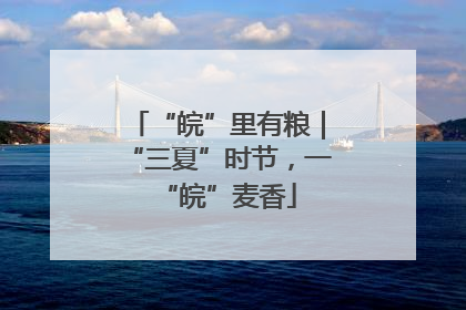 “皖”里有粮｜“三夏”时节，一“皖”麦香