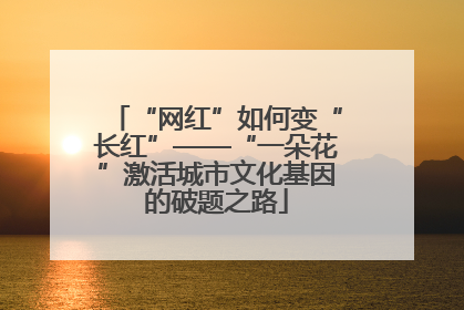 “网红”如何变“长红”——“一朵花”激活城市文化基因的破题之路
