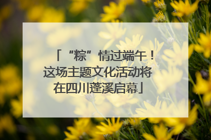 “粽”情过端午！这场主题文化活动将在四川蓬溪启幕