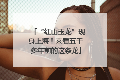 “红山玉龙”现身上海！来看五千多年前的这条龙