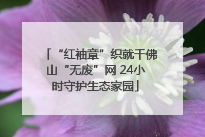 “红袖章”织就千佛山“无废”网 24小时守护生态家园