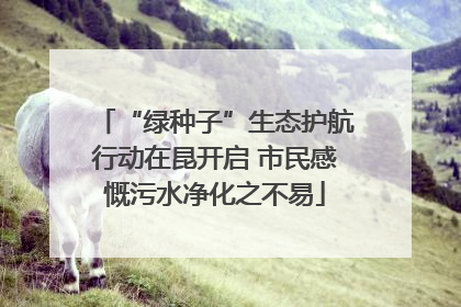 “绿种子”生态护航行动在昆开启 市民感慨污水净化之不易