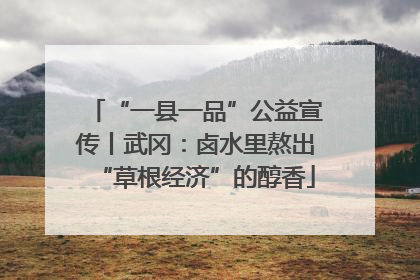 “一县一品”公益宣传丨武冈：卤水里熬出“草根经济”的醇香
