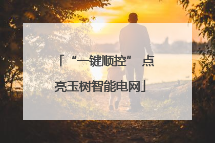 “一键顺控” 点亮玉树智能电网