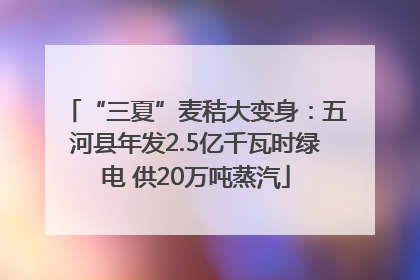 “三夏”麦秸大变身：五河县年发2.5亿千瓦时绿电 供20万吨蒸汽