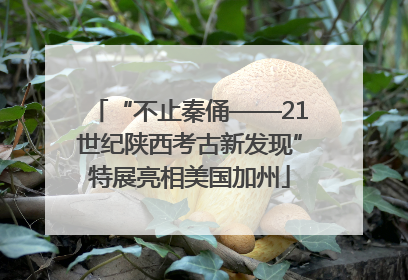 “不止秦俑——21世纪陕西考古新发现”特展亮相美国加州