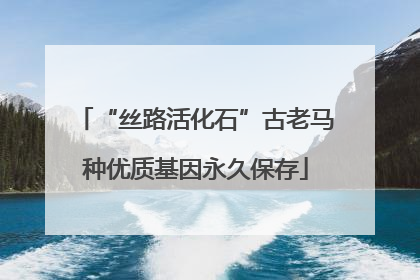 “丝路活化石”古老马种优质基因永久保存