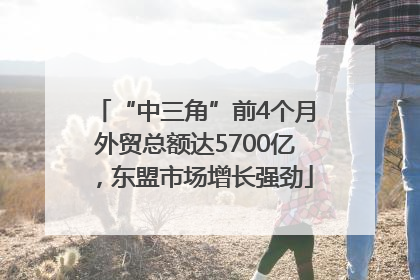 “中三角”前4个月外贸总额达5700亿，东盟市场增长强劲