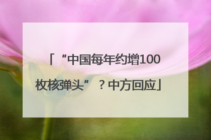 “中国每年约增100枚核弹头”？中方回应