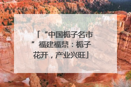 “中国栀子名市”福建福鼎：栀子花开，产业兴旺