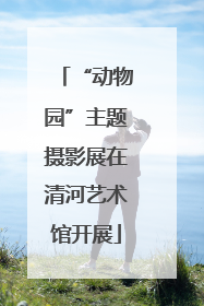 “动物园”主题摄影展在清河艺术馆开展