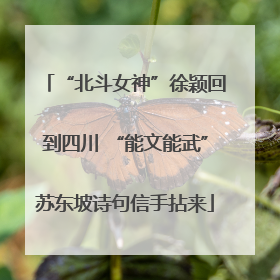 “北斗女神”徐颖回到四川 “能文能武”苏东坡诗句信手拈来
