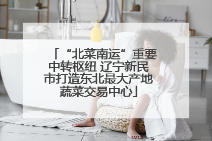 “北菜南运”重要中转枢纽 辽宁新民市打造东北最大产地蔬菜交易中心
