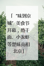 “味到京城”美食节开幕，热干面、小龙虾等楚味亮相北京