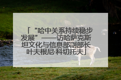 “哈中关系持续稳步发展”——访哈萨克斯坦文化与信息部副部长叶夫根尼·科切托夫