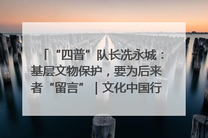 “四普”队长冼永城：基层文物保护，要为后来者“留言”｜文化中国行·我在广东找文物