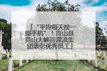 “平均每天捡一部手机”！鲁山县尧山大峡谷漂流集团表彰优秀员工