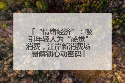 “情绪经济”：吸引年轻人为“感觉”消费，江岸新消费场景解锁心动密码