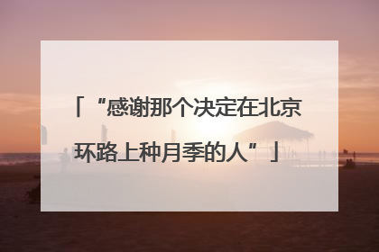 “感谢那个决定在北京环路上种月季的人”