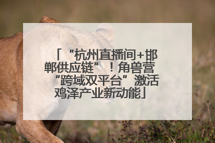 “杭州直播间+邯郸供应链”！角兽营“跨域双平台”激活鸡泽产业新动能