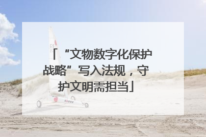 “文物数字化保护战略”写入法规，守护文明需担当
