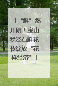 “斛”然开朗！宝山罗泾石斛花节绽放“花样经济”