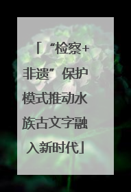 “检察+非遗”保护模式推动水族古文字融入新时代