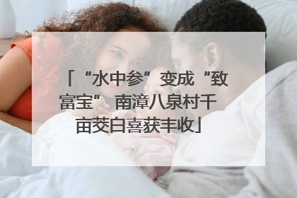 “水中参”变成“致富宝” 南漳八泉村千亩茭白喜获丰收