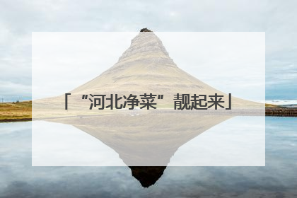 “河北净菜”靓起来
