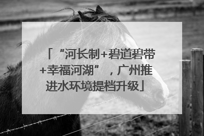 “河长制+碧道碧带+幸福河湖”，广州推进水环境提档升级