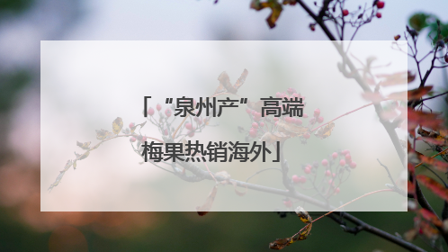 “泉州产”高端梅果热销海外