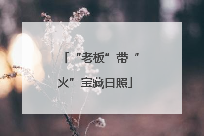 “老板”带“火”宝藏日照