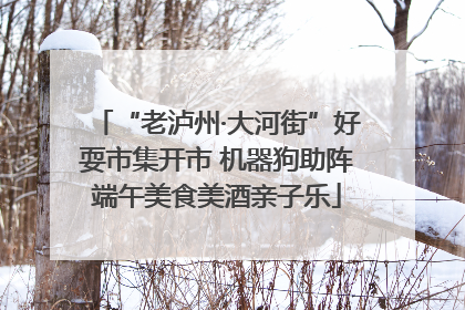 “老泸州·大河街”好耍市集开市 机器狗助阵端午美食美酒亲子乐