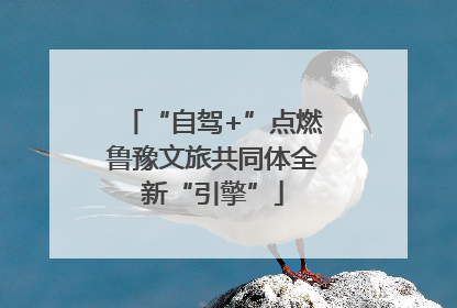 “自驾+”点燃鲁豫文旅共同体全新“引擎”