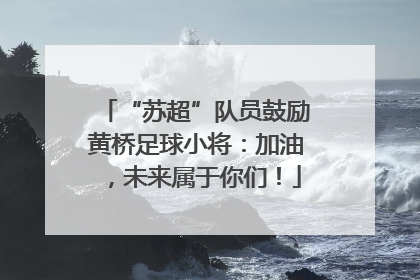 “苏超”队员鼓励黄桥足球小将：加油，未来属于你们！