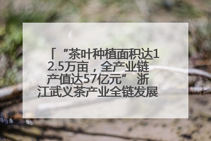 “茶叶种植面积达12.5万亩，全产业链产值达57亿元” 浙江武义茶产业全链发展“加速度”