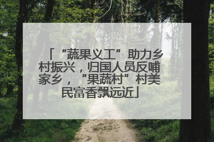 “蔬果义工”助力乡村振兴，归国人员反哺家乡，“果蔬村”村美民富香飘远近
